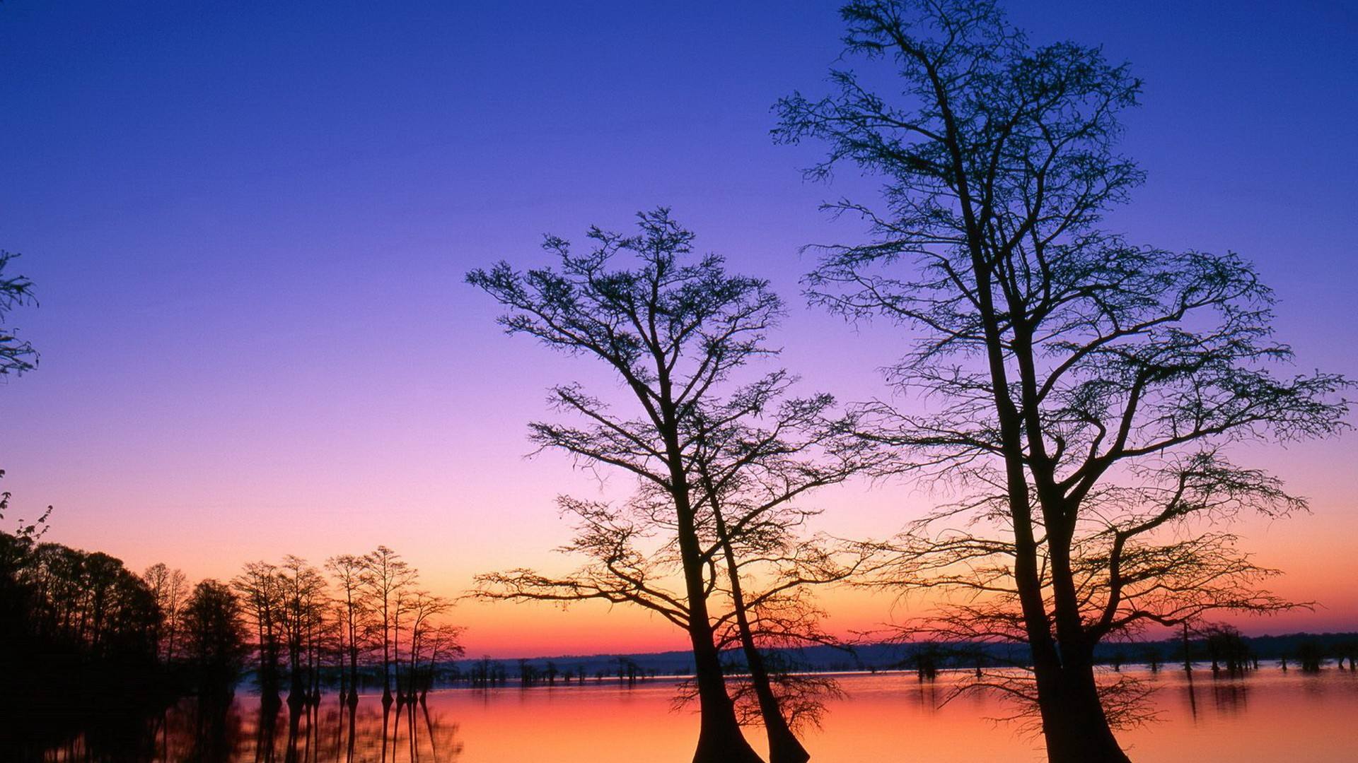 滾珠絲杠如何維護(hù)呢？